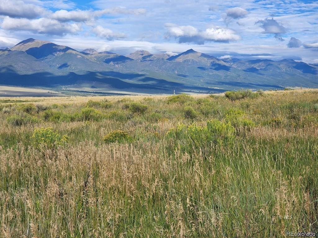 a view of a field