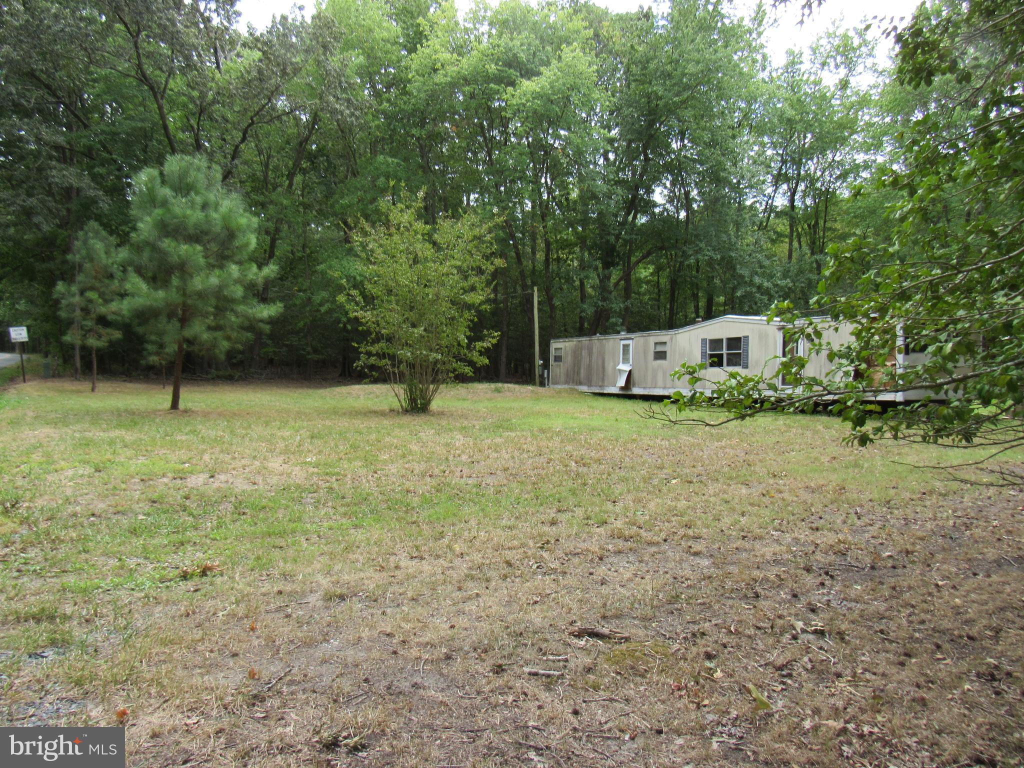 a view of a yard with large trees