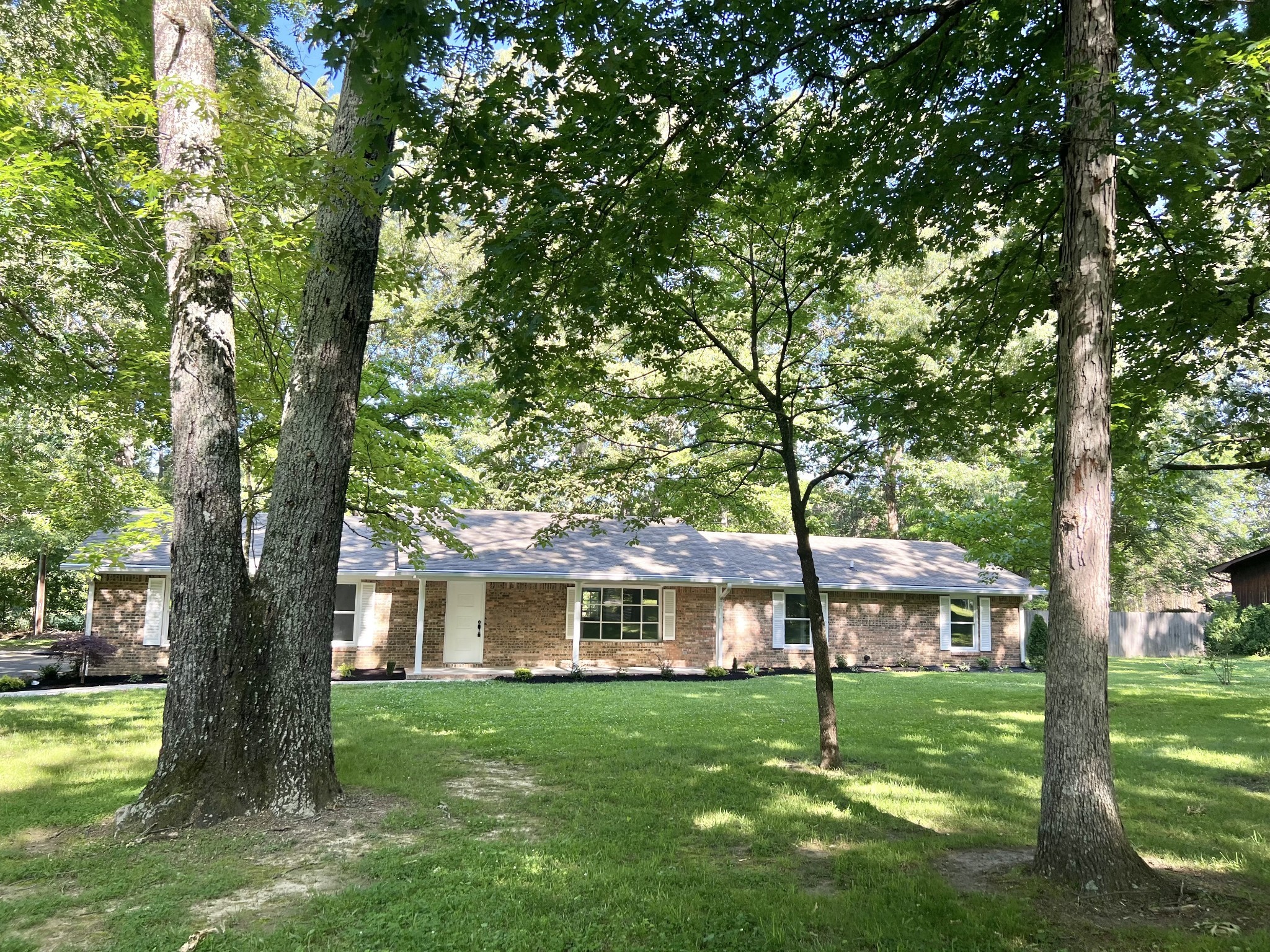 a view of a trees in front of a house with a big yard