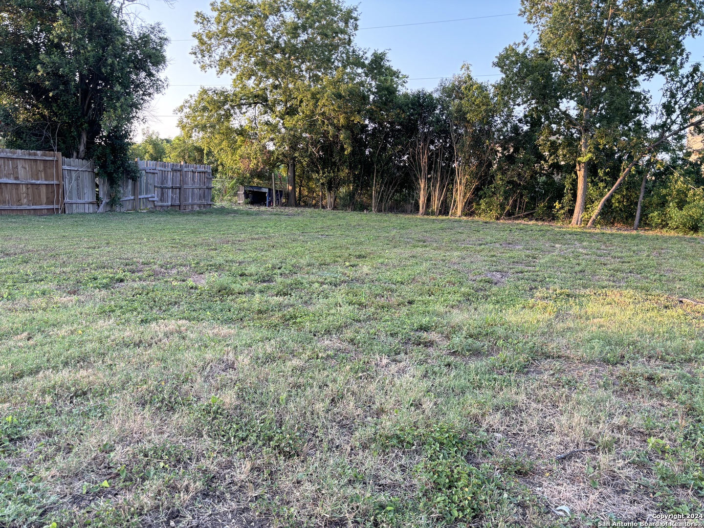 a view of a field with trees in the background