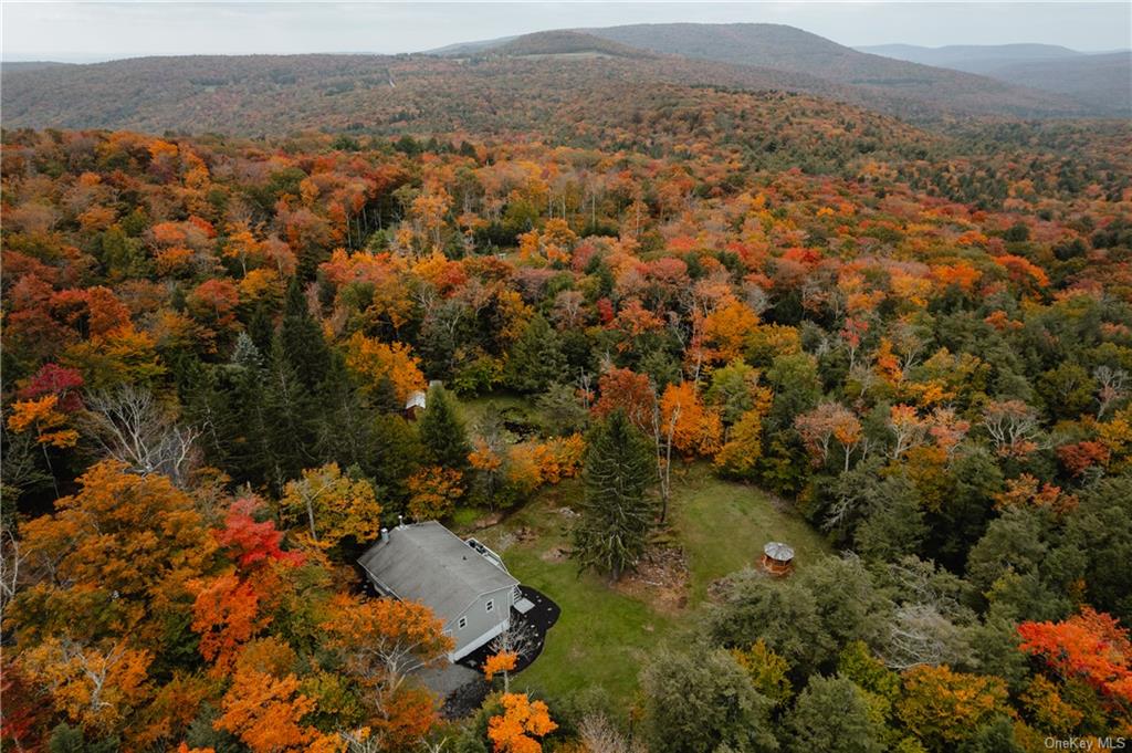 an aerial view of residential house with outdoor space and trees all around