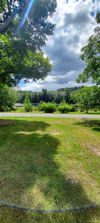 a view of a big yard with plants and large trees