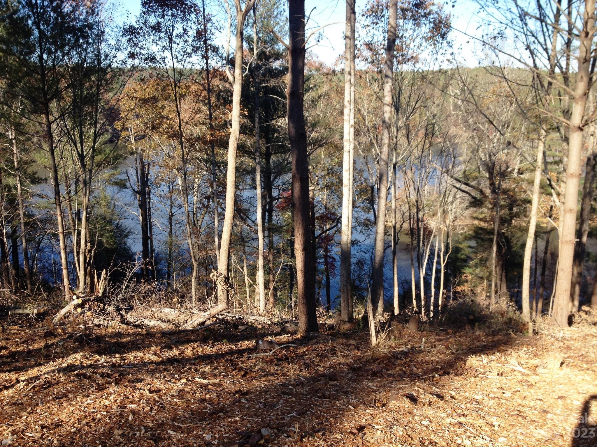 a view of a park with trees