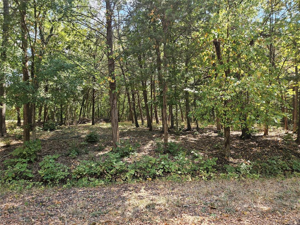 a view of outdoor space and trees