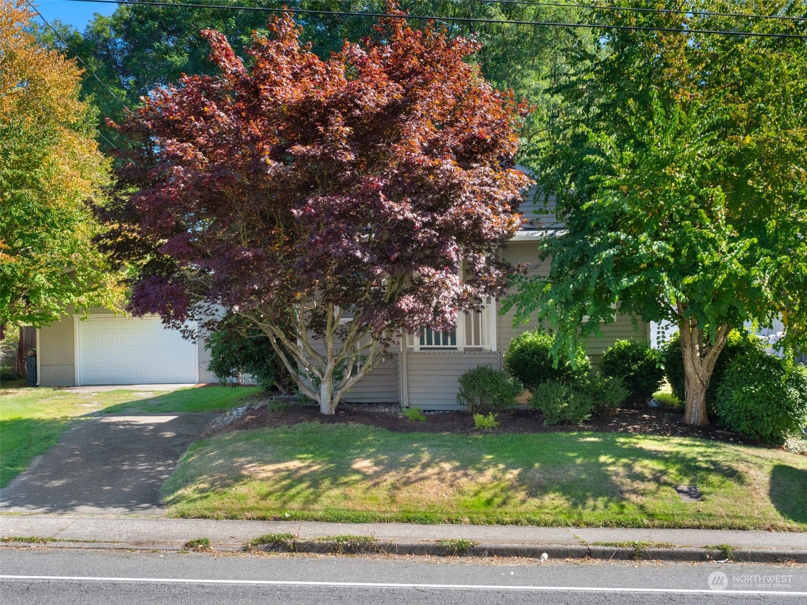 a view of a yard with plants and trees