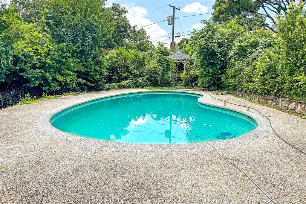 a view of a swimming pool with a patio and plants