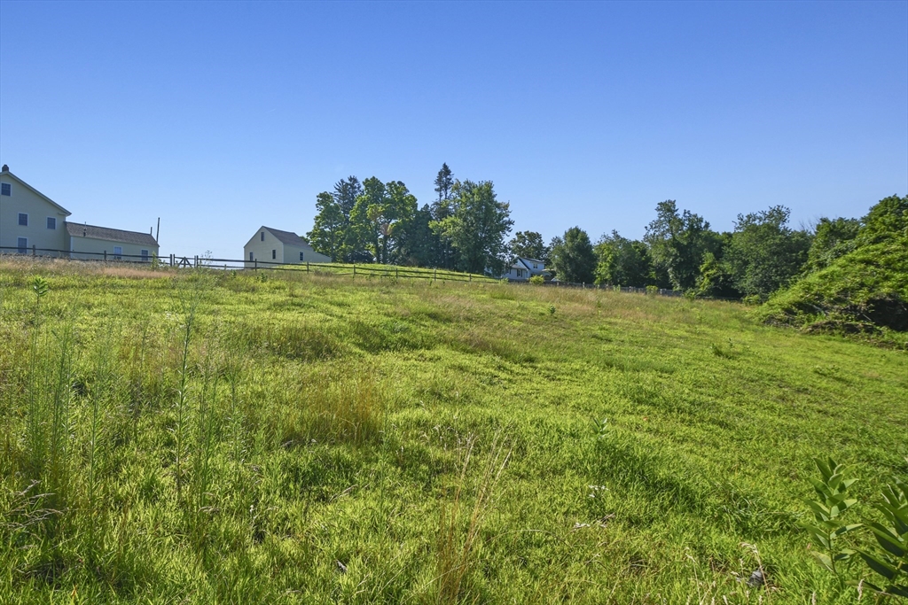 a view of a big yard with a house in the background