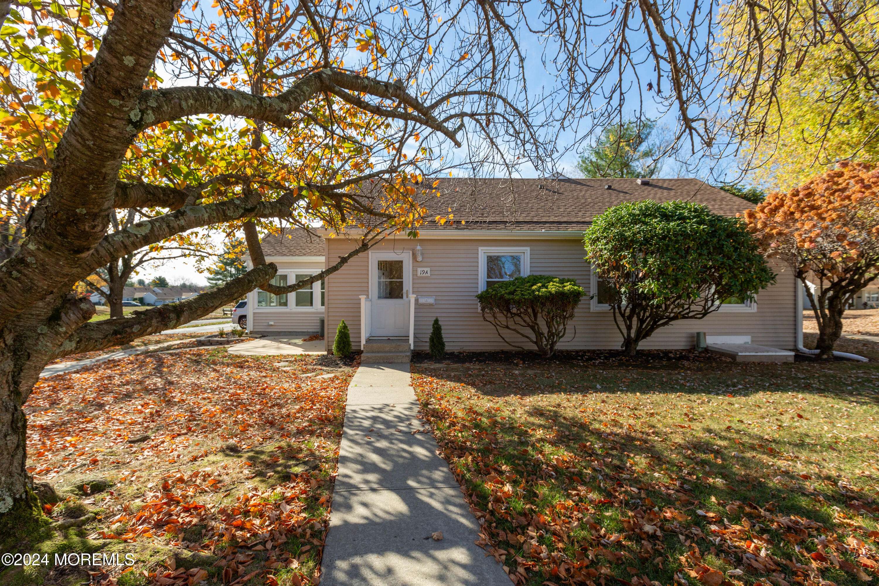 a house that has a tree in front of it