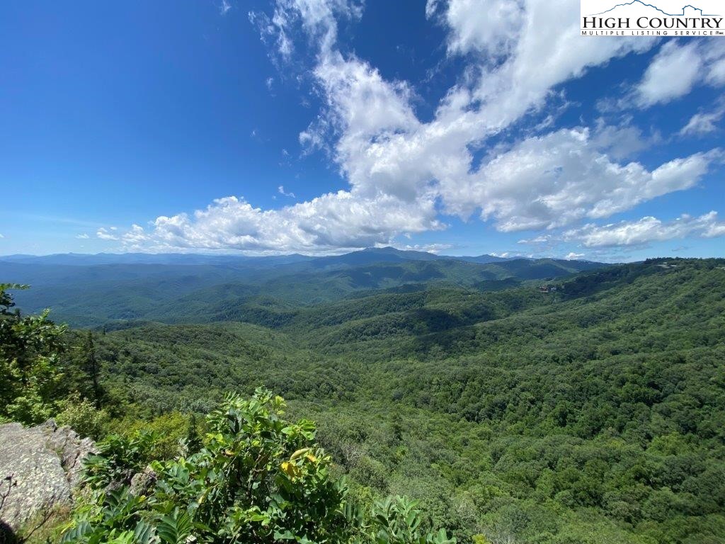 a view of a bunch of trees