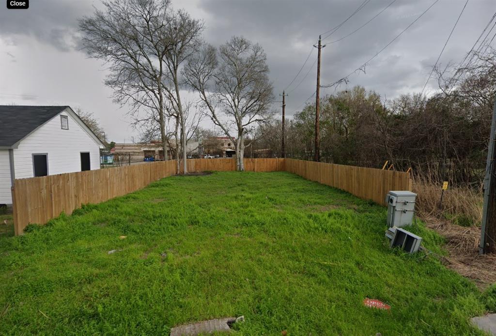 a view of a backyard with plants and large trees