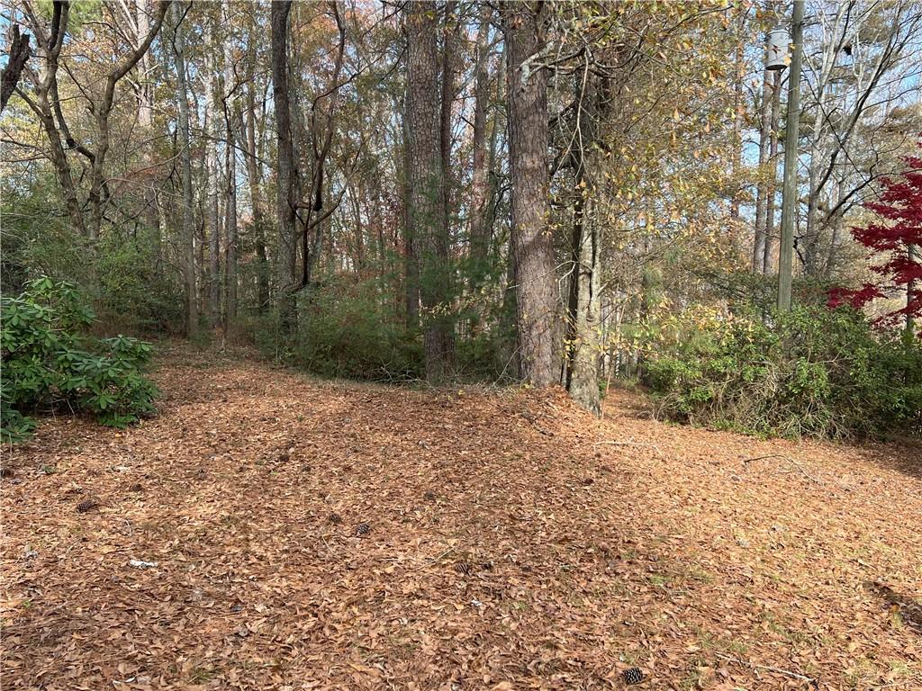 a view of a yard with trees