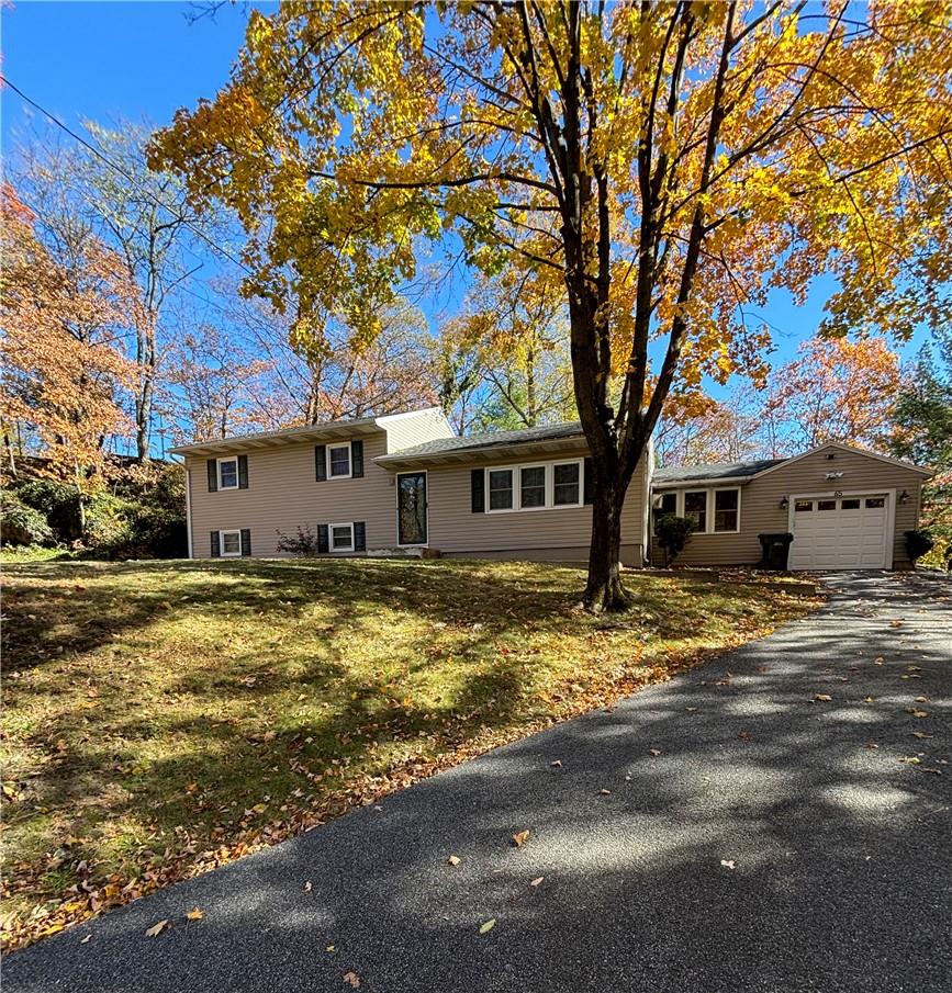 a front view of a house with a large tree