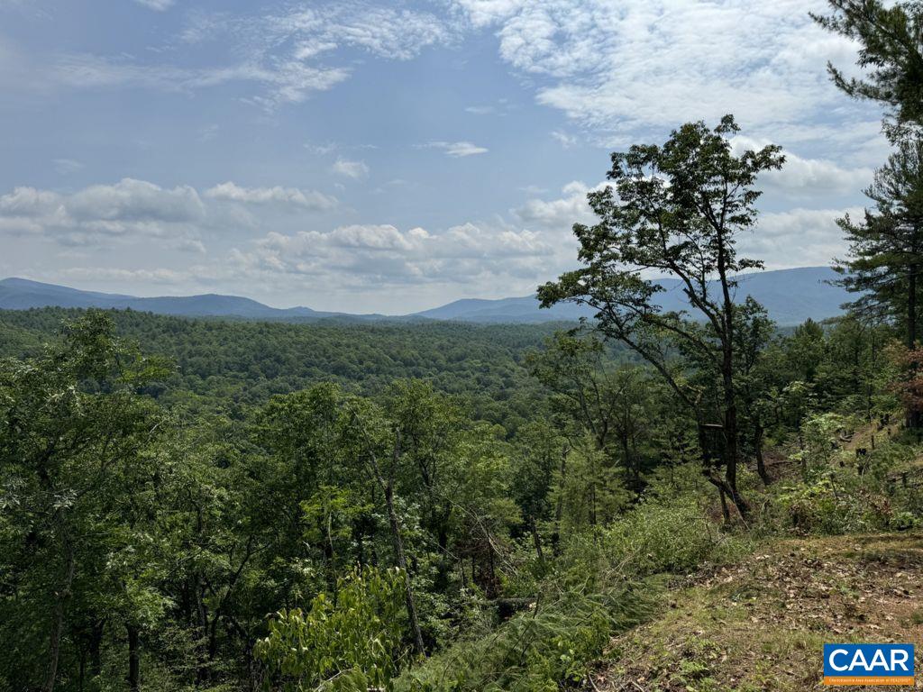 a view of a bunch of trees in a field