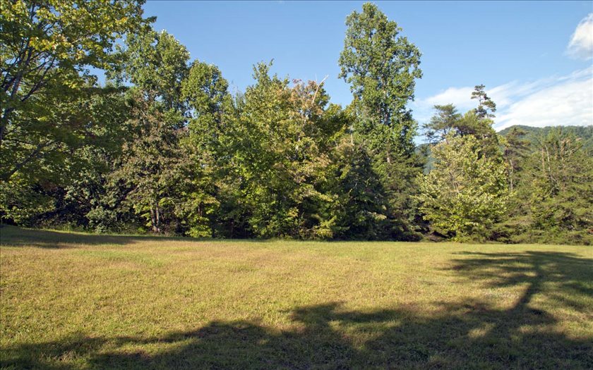 a view of a yard with an outdoor space