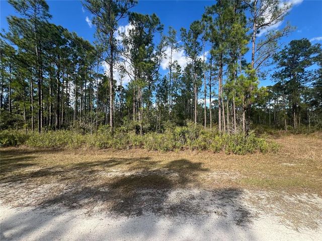 $15,000 | 810 Calendula Drive | Indian Lake Estates