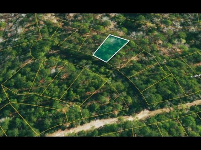 a view of a tennis court