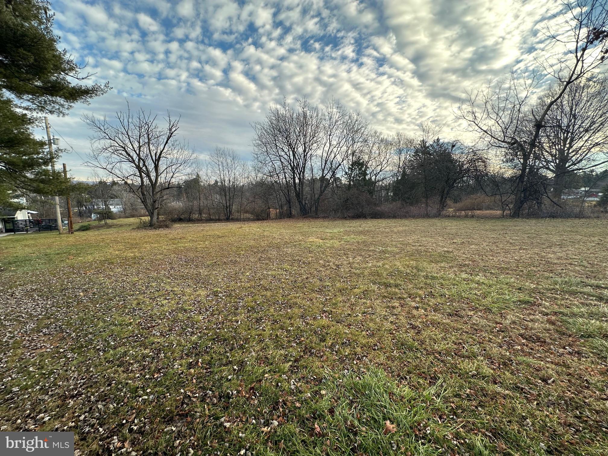 a view of a field with an trees