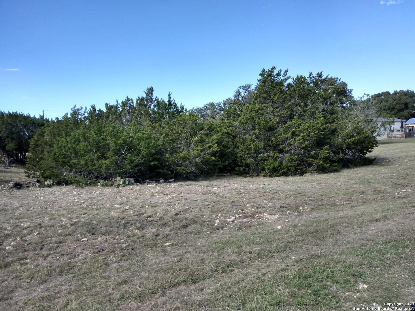 a view of dirt field with trees in background