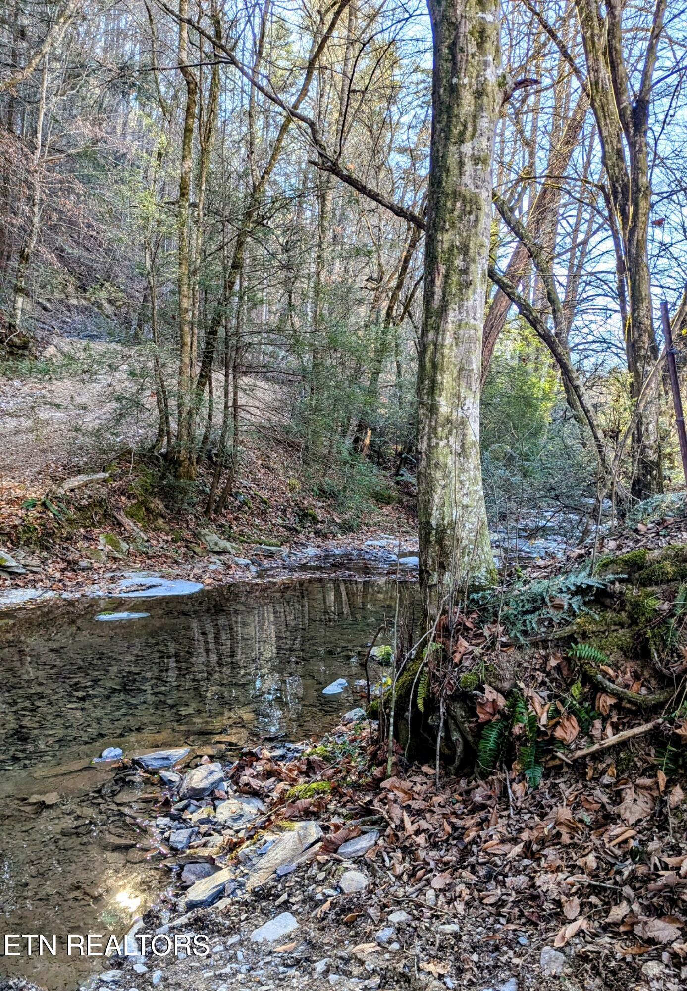 Creek in front of Property