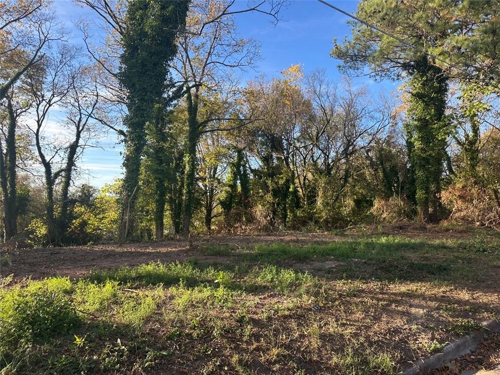 a view of a yard with plants and trees