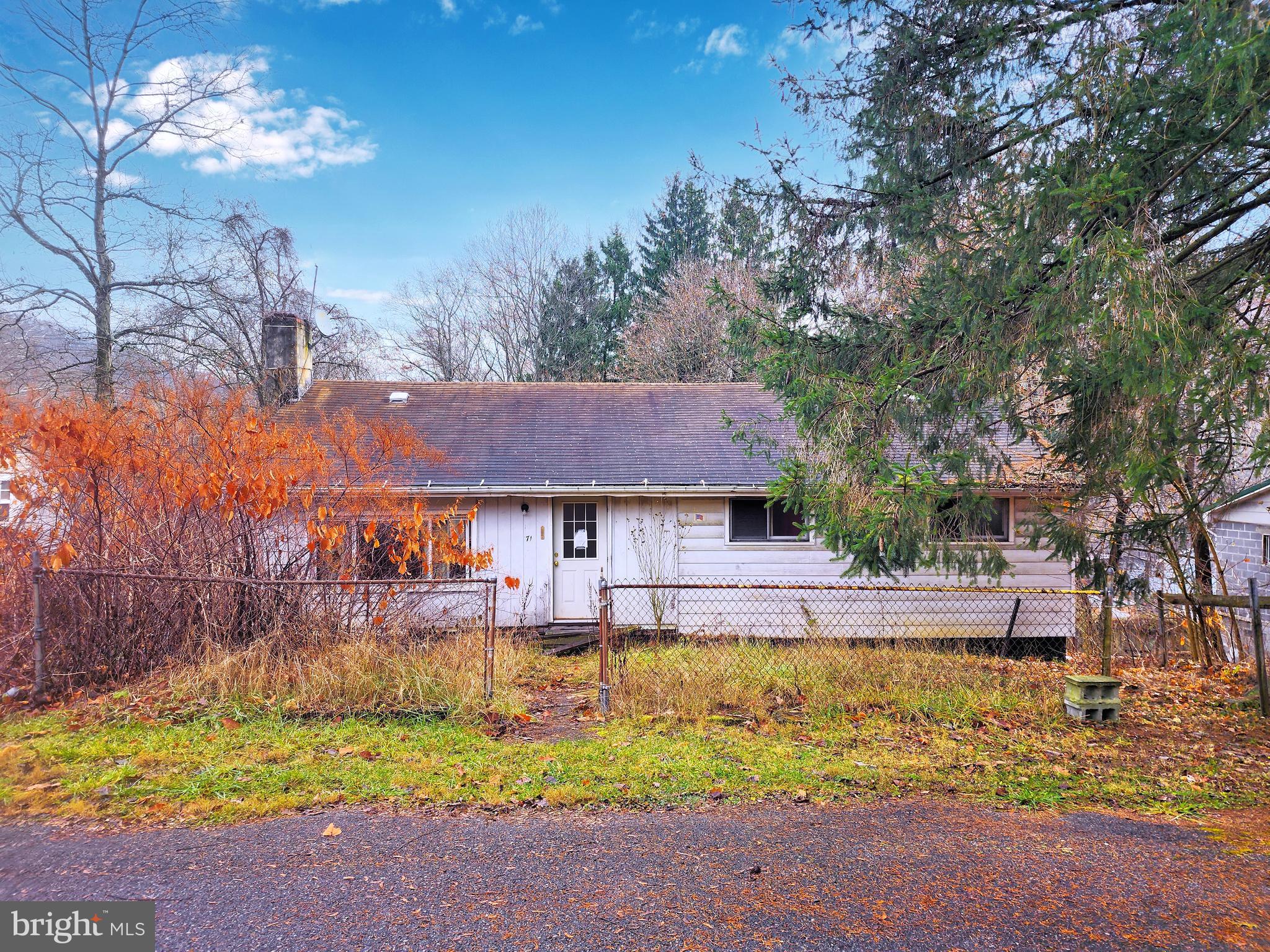 a view of a house with a large tree and a yard