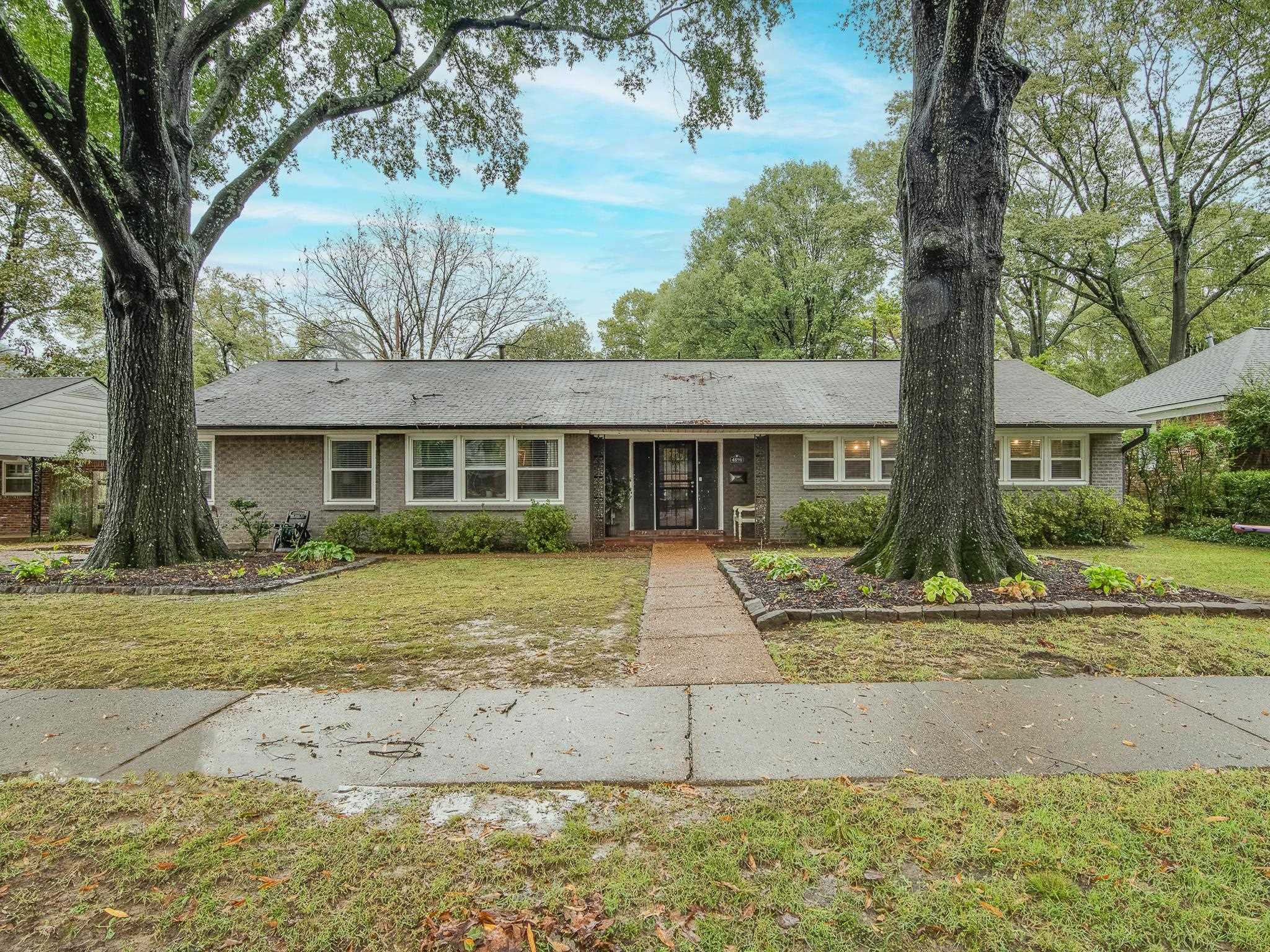 a view of a house with a yard and large tree