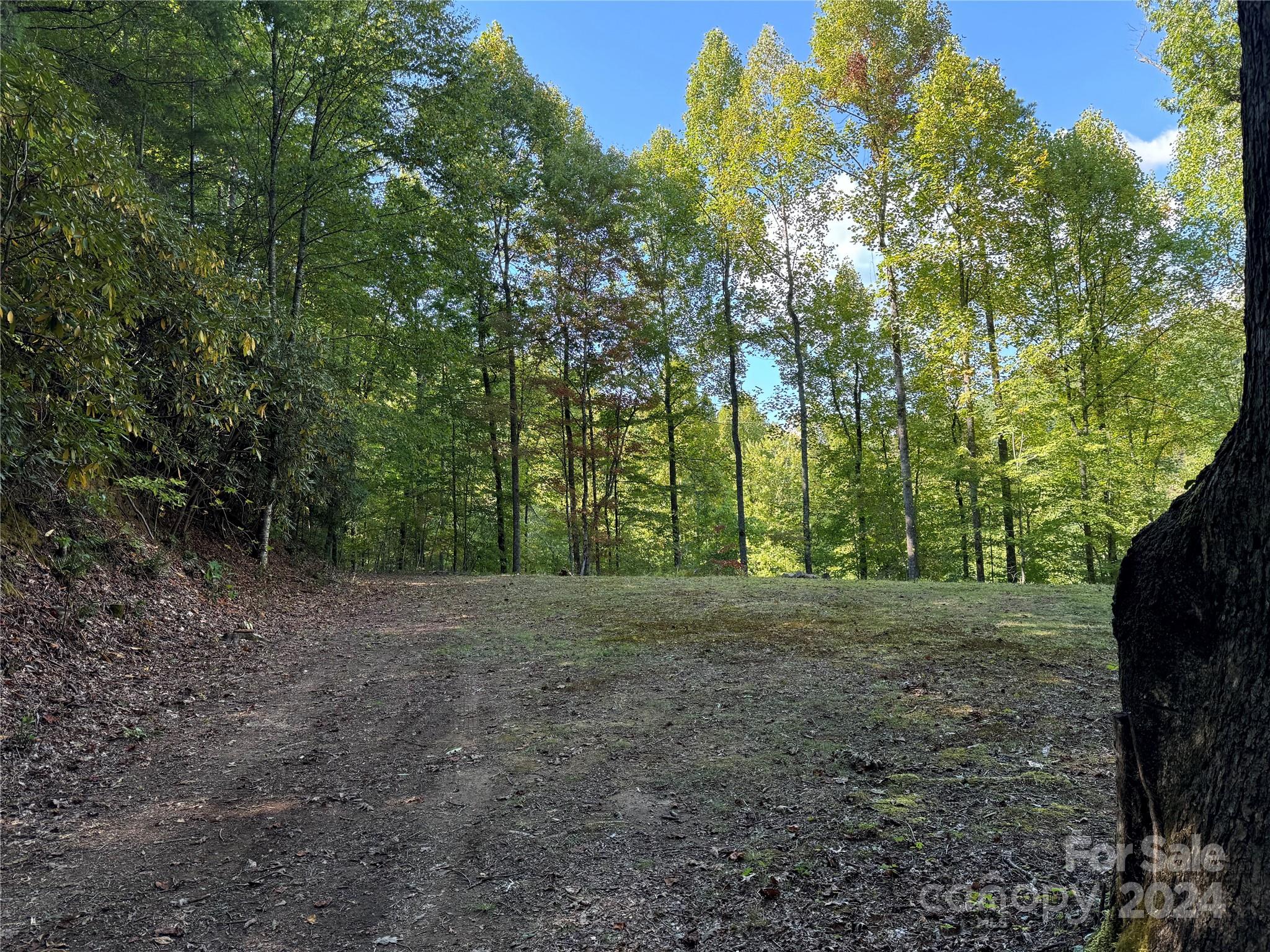 a view of dirt field with trees in the background