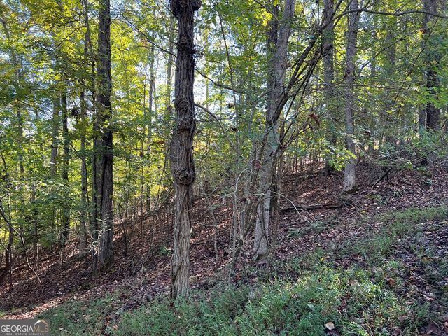 $37,500 | Lot 23 Tahlequah Ridge | Hayesville Township - Clay County