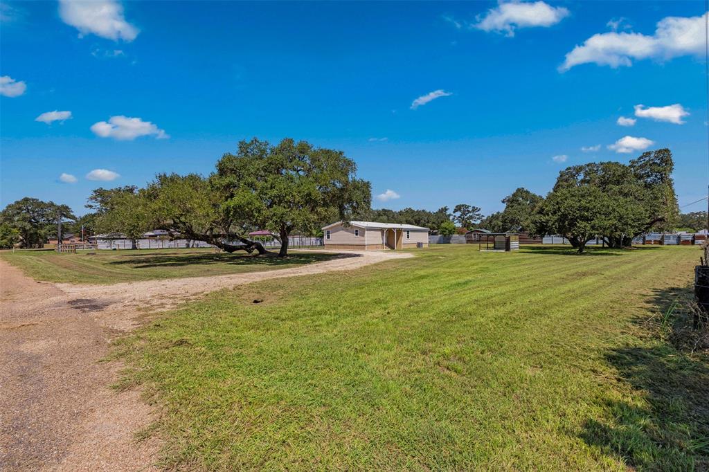 a view of yard with green space