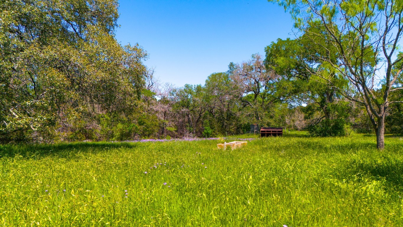 a view of yard with green space