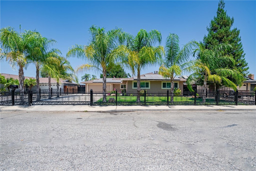 a street with a yard and palm trees