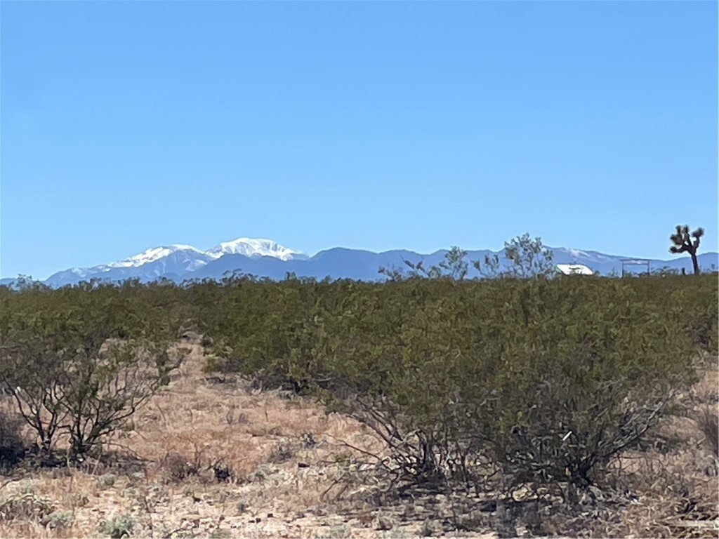 a view of a town with mountains in the background