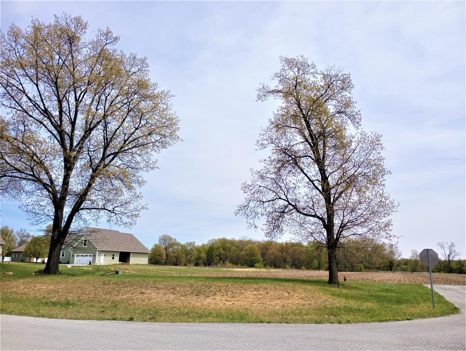 a view of an outdoor space