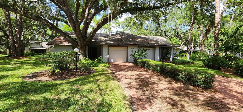 a view of a house with a large tree and a yard