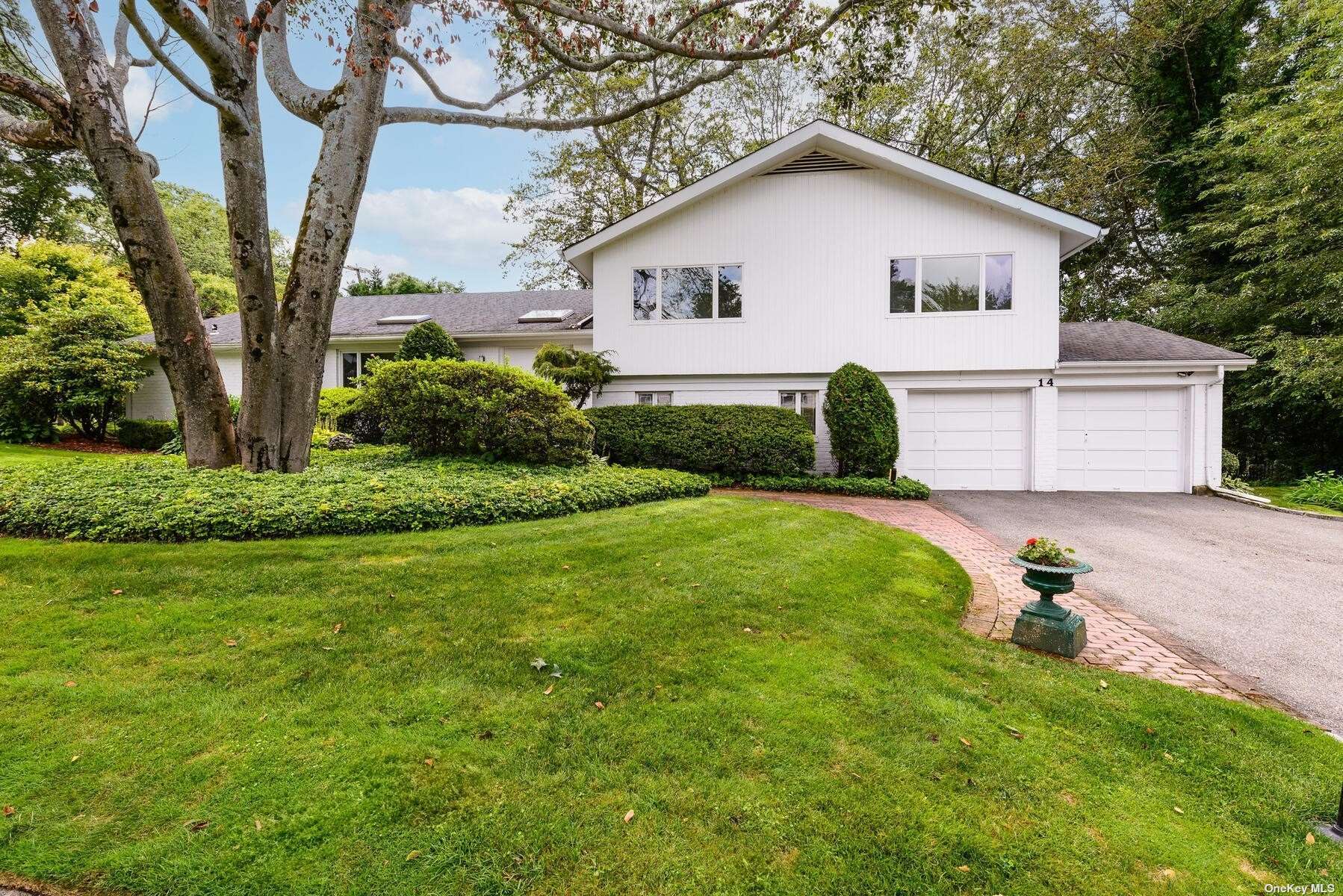 a view of a yard in front of a house with plants and large tree