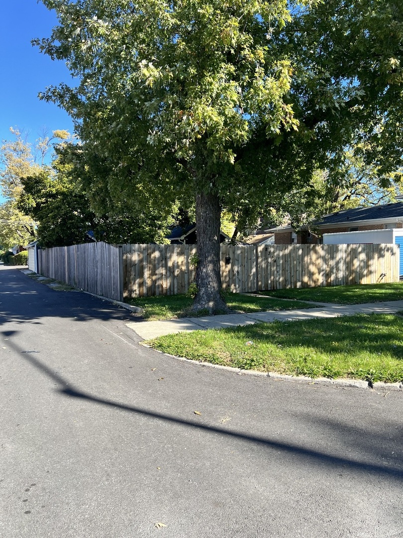 a view of a yard with large trees