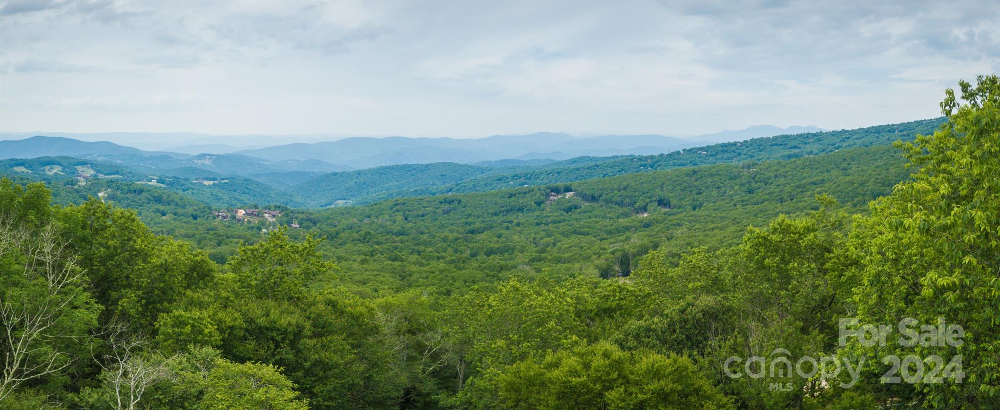 a view of a lush green forest with trees in the background