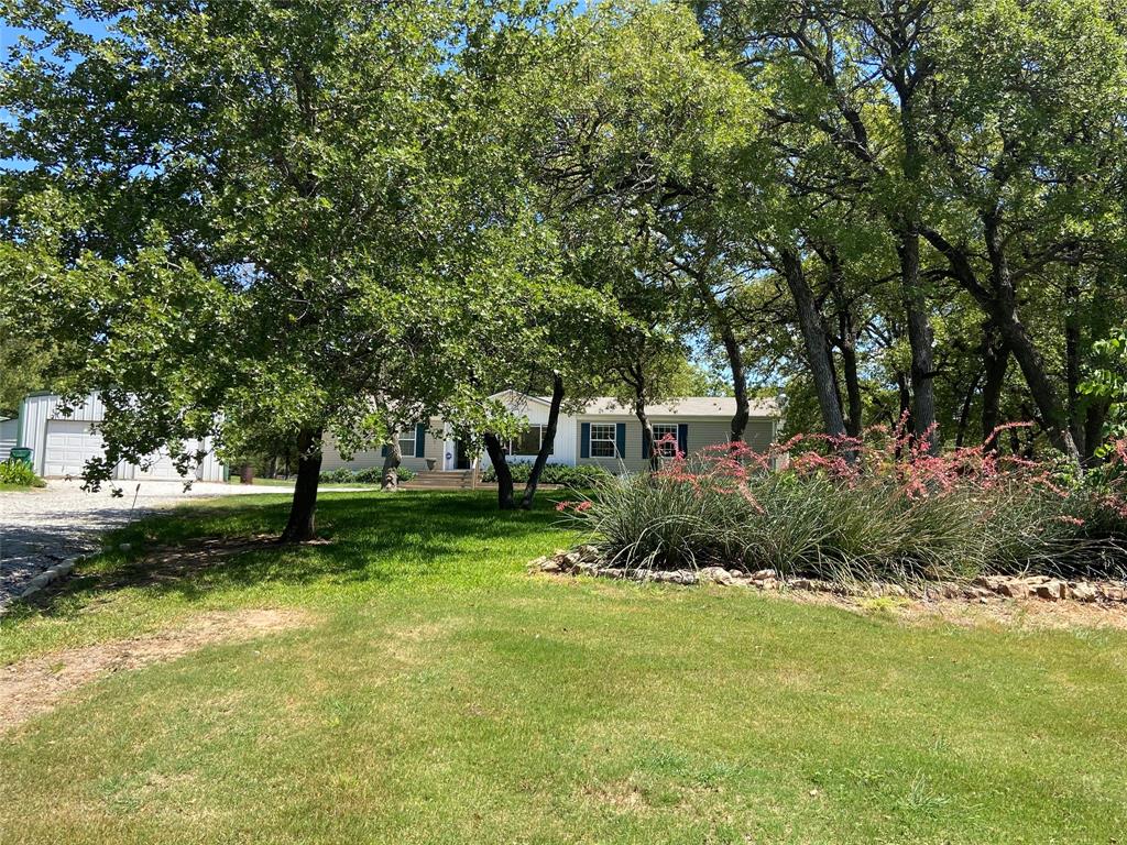 a view of a garden with large trees