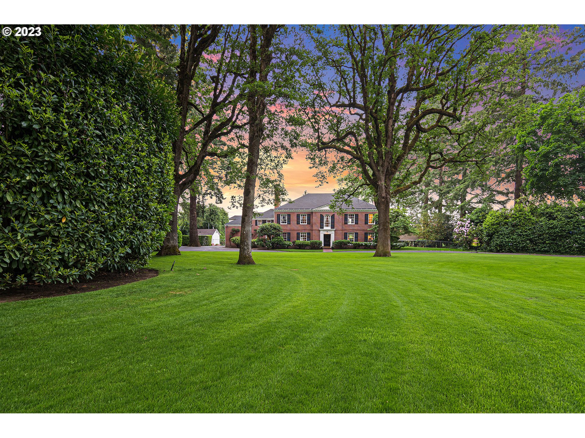 a view of a park with large trees