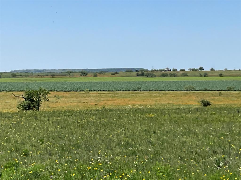 a view of a field with an ocean view