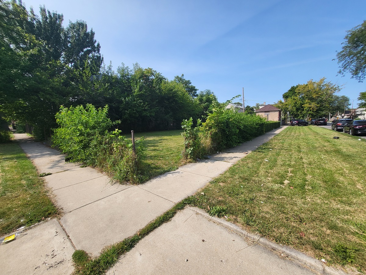 a view of a garden with pathway