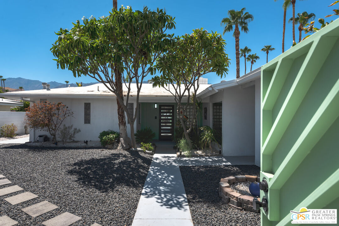 a view of a backyard with plants