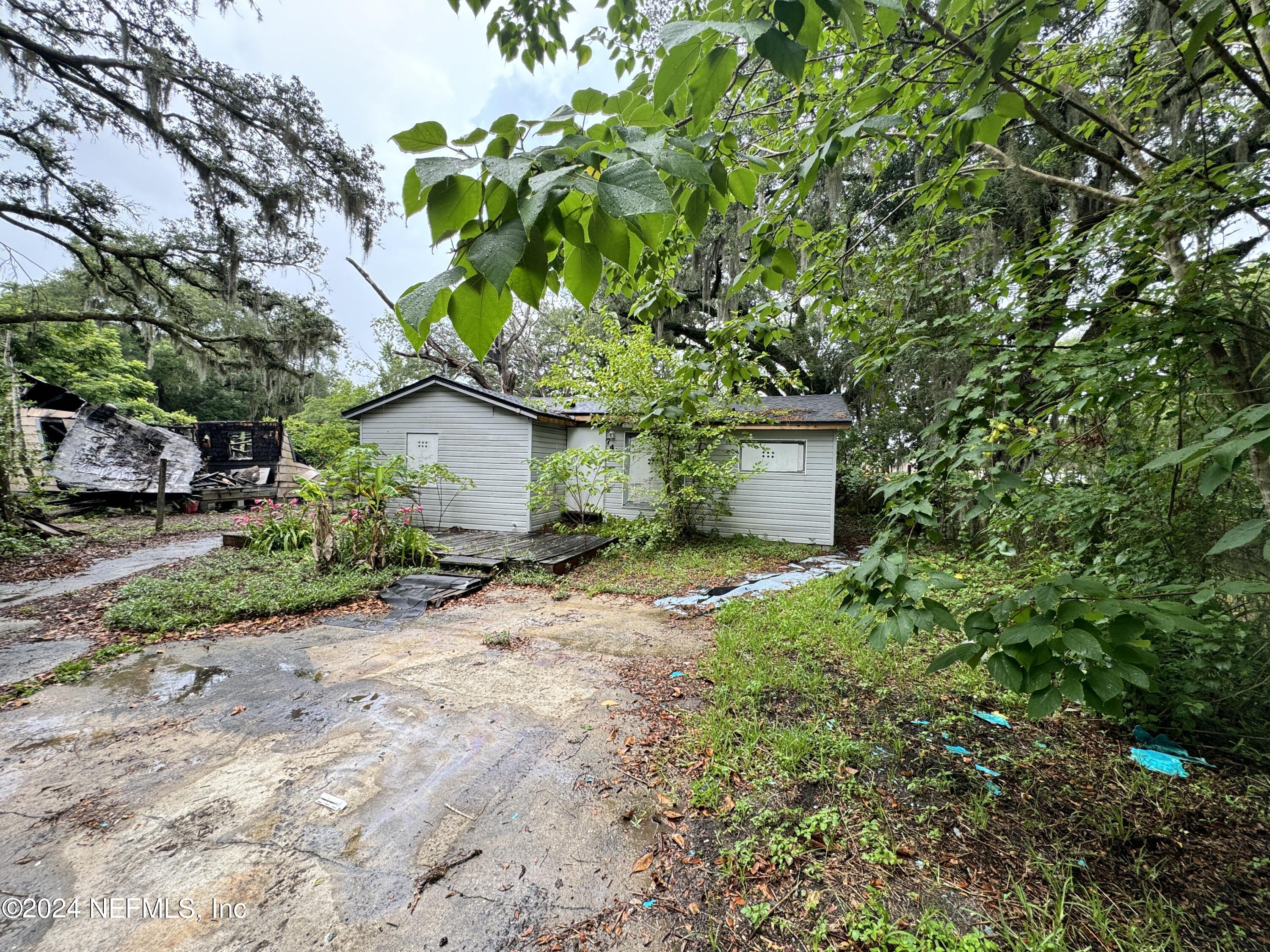 a backyard of a house with plants and tree