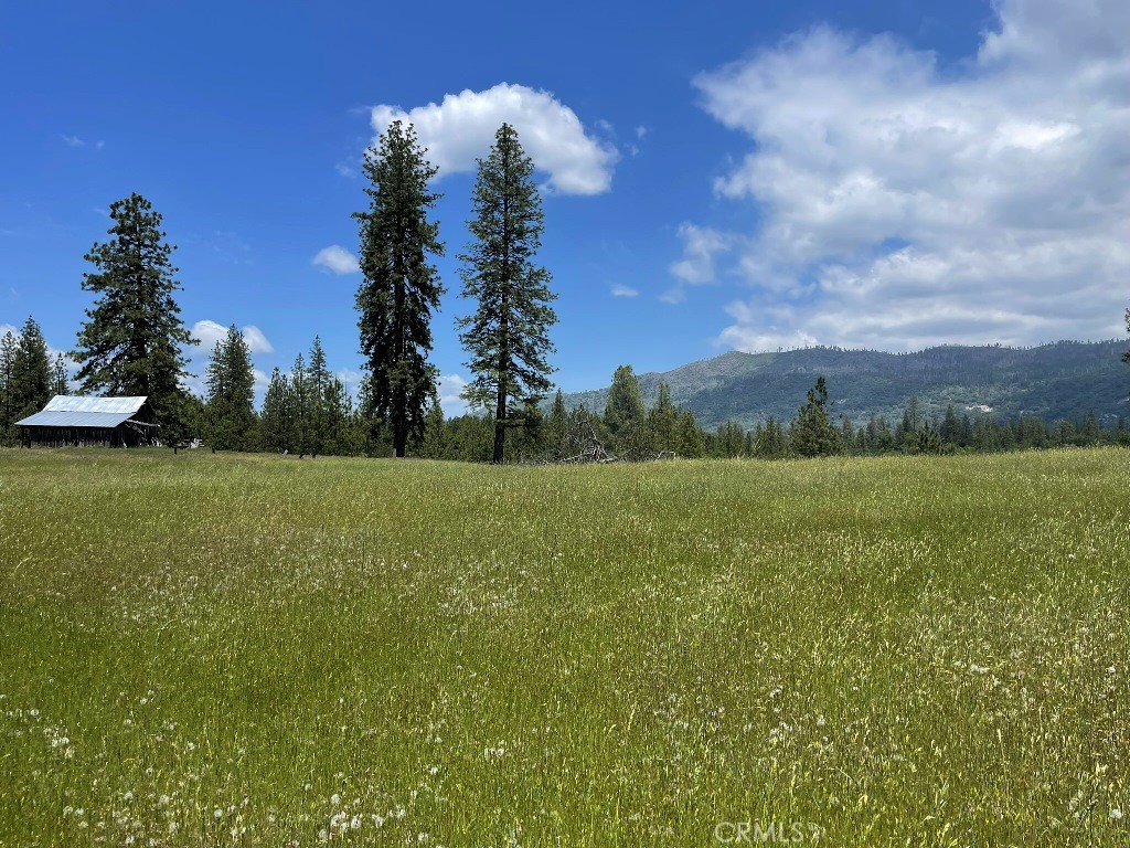 a view of a green field with trees in the background