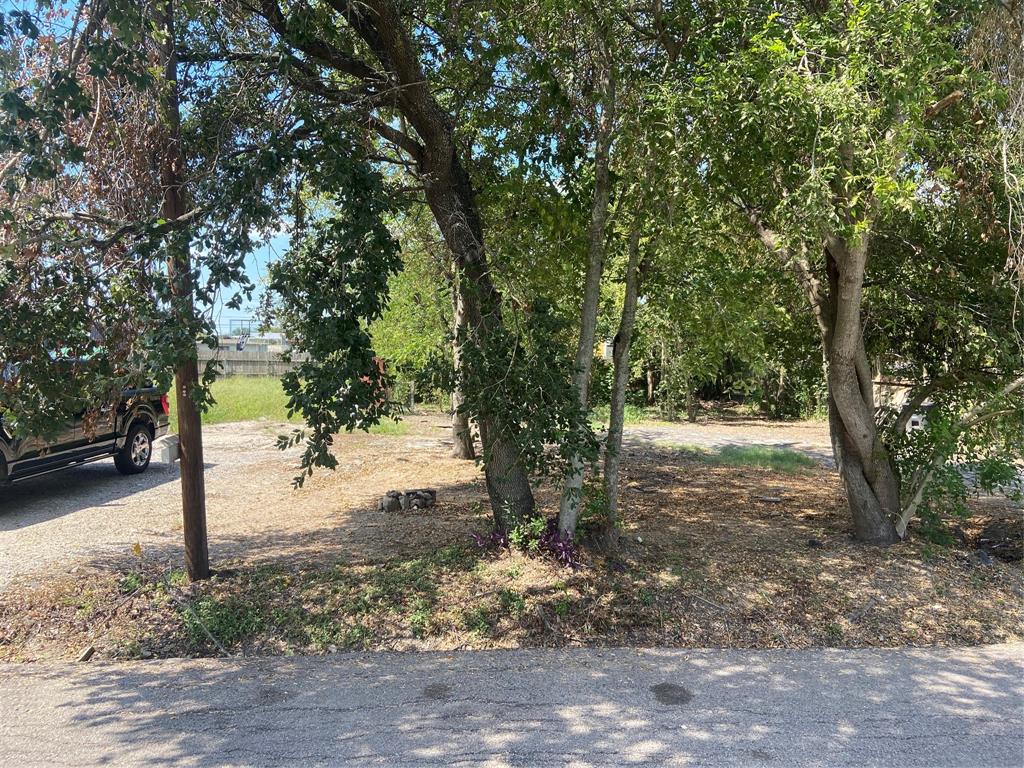 a view of a yard with trees