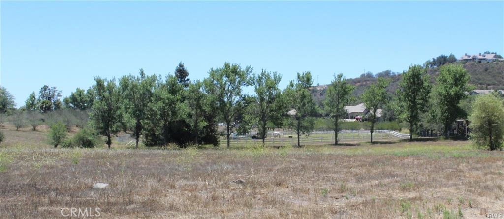 a view of outdoor space with trees all around