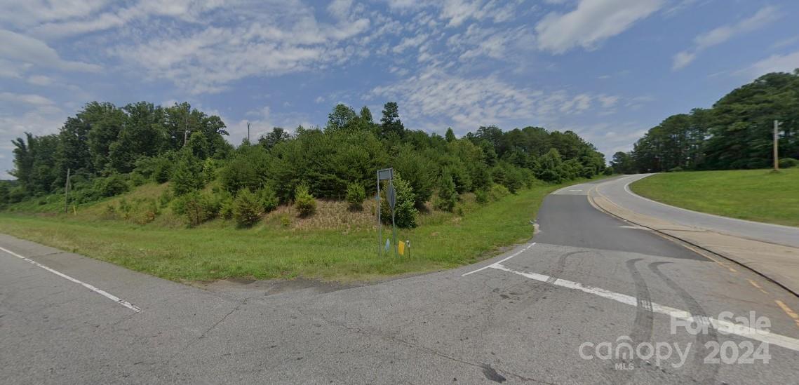 a view of a field with plants and trees in the background