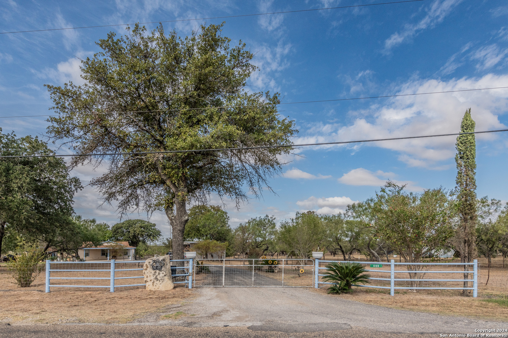 a view of a yard