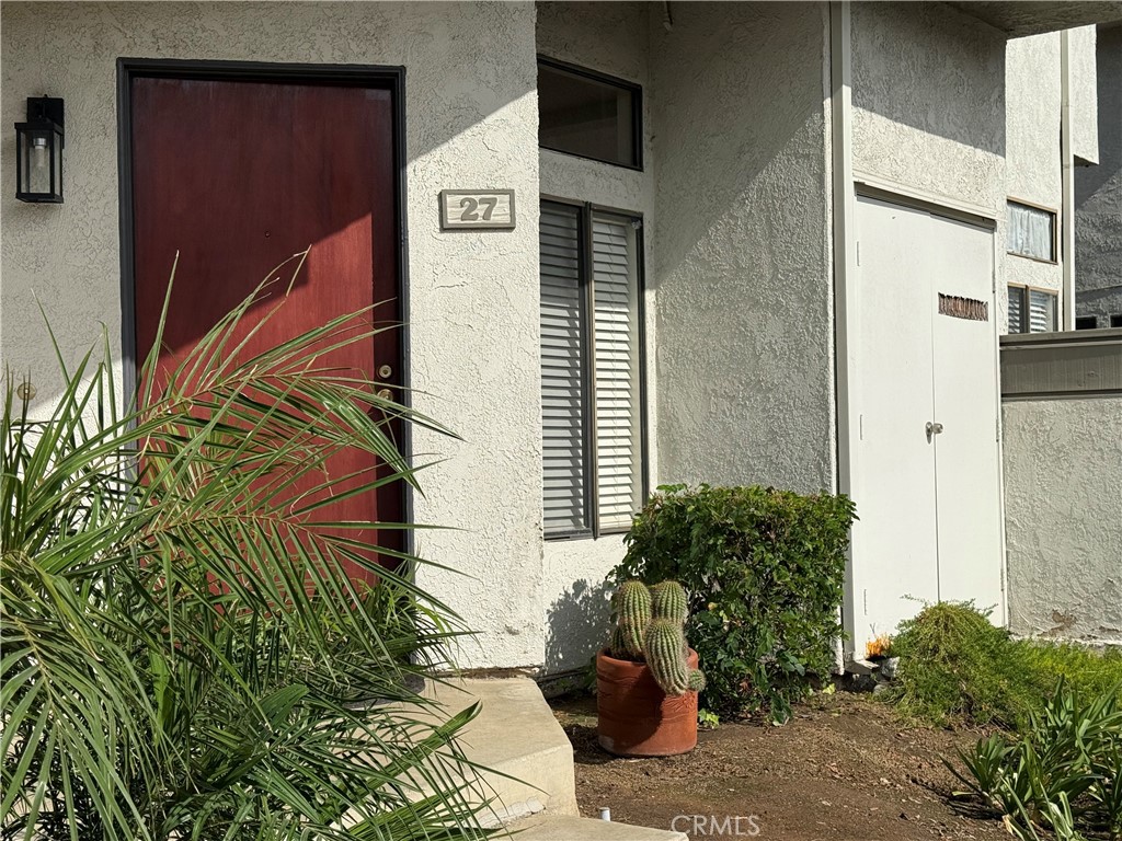 a potted plant sitting in front of a door