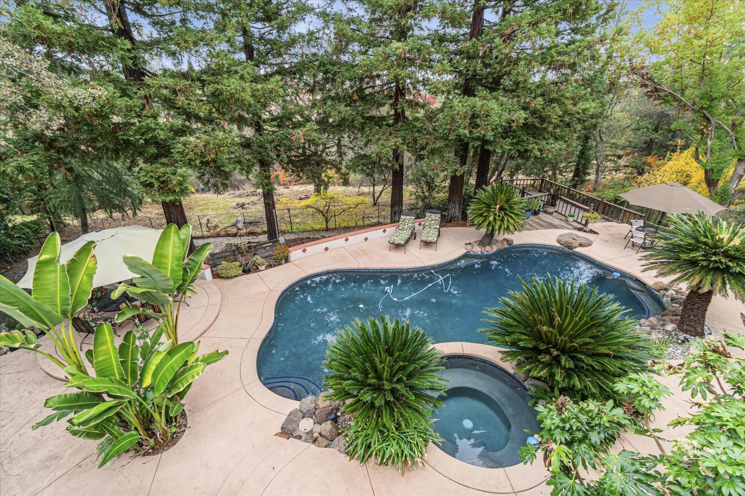 a view of backyard with swimming pool and seating